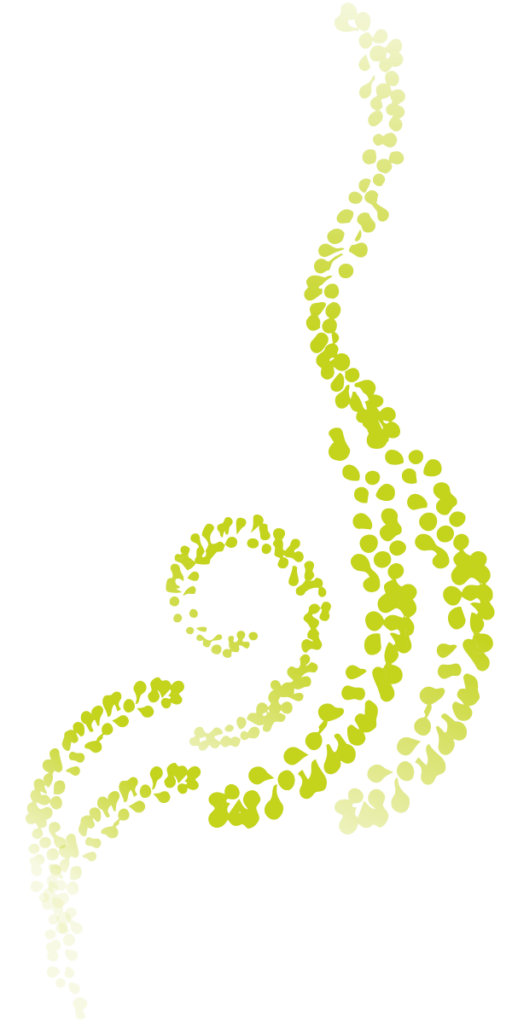 Sea Grapes - Green icon